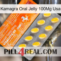 Kamagra Oral Jelly 100Mg Usa new05